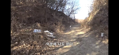 공장에서 평생 묶여사는 개 처음으로 산책시킨 유튜버 | 인스티즈
