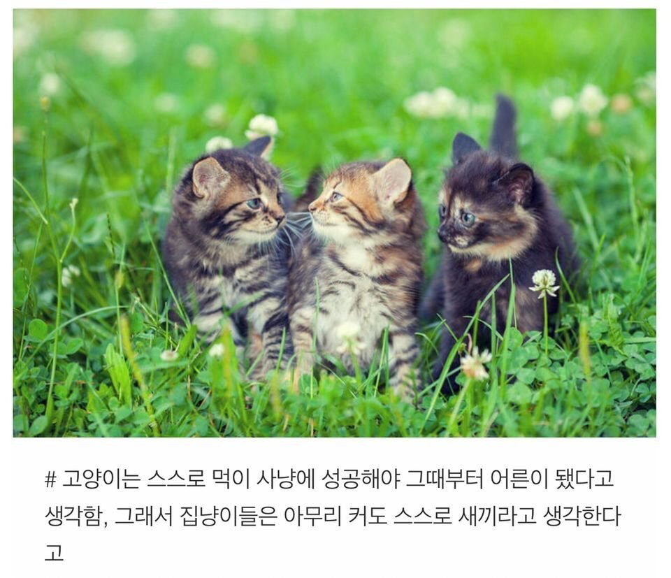TMI 이미지