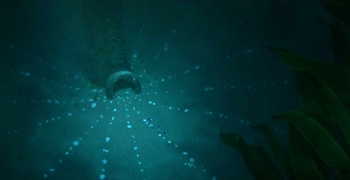 147b2a624a8cbf78b8d82f52034cbc2877f79437