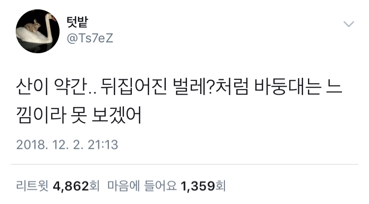 18553ef479eb451753b3ff4914e337ddad546718