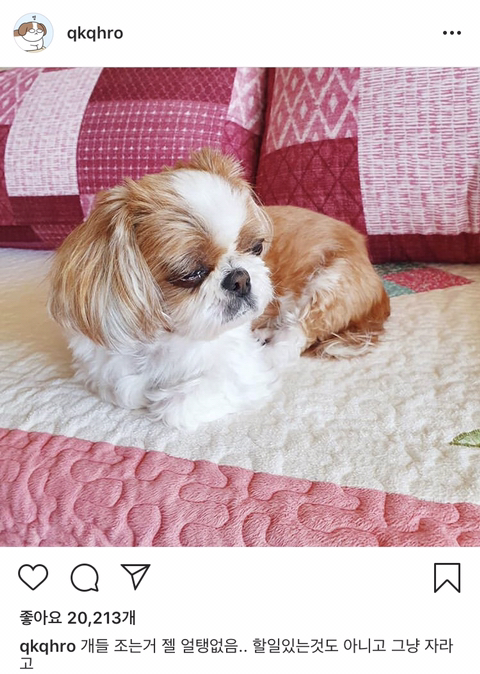 공감 이미지