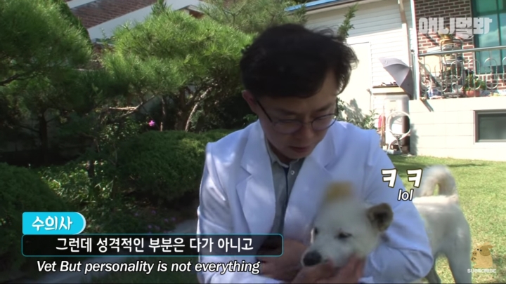 그알 갈색푸들보다 친화력 오지는 뻔순이 | 인스티즈