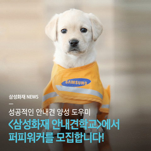 1b2295faf920fc2ee94438340c99dcfe7bddc23c