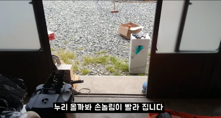 어머냥이 눈치보면서 냥이집 청소하는 아저씨ㅋㅋㅋ.jpg | 인스티즈