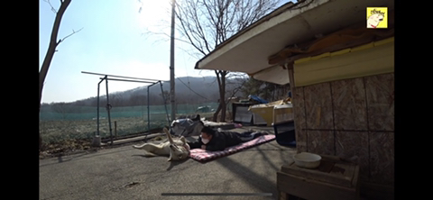 공장에서 평생 묶여사는 개 처음으로 산책시킨 유튜버 | 인스티즈