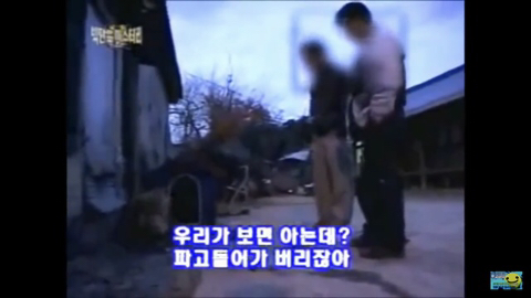 개장수만 보면 본능적으로 똥오줌 지리는 개들 | 인스티즈