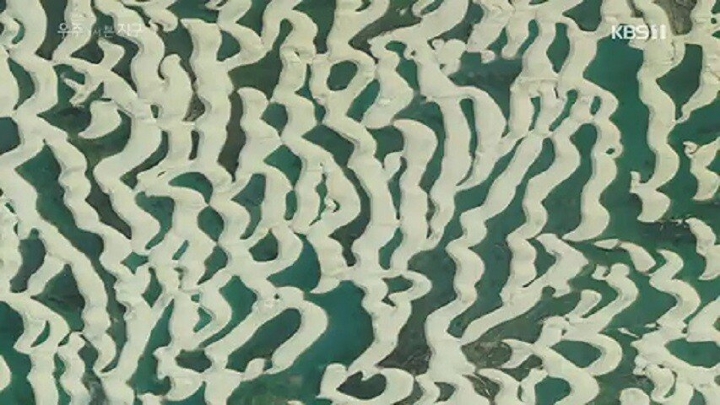 거북이가 사막을 건너는 이유 .jpgif | 인스티즈