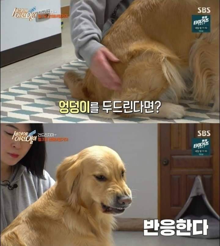 [세상에이런일이] 두 얼굴을 가진 아이 | 인스티즈