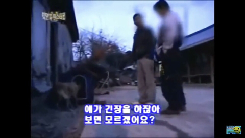 개장수만 보면 본능적으로 똥오줌 지리는 개들 | 인스티즈