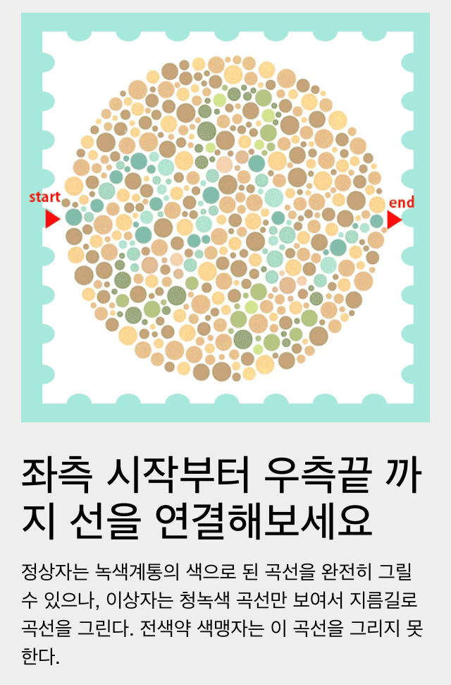 이게 무슨 숫자로 보여? [색맹/색약/색각이상] | 인스티즈