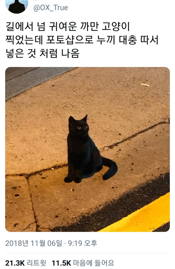 누끼를 대충 딴 고양이 | 인스티즈