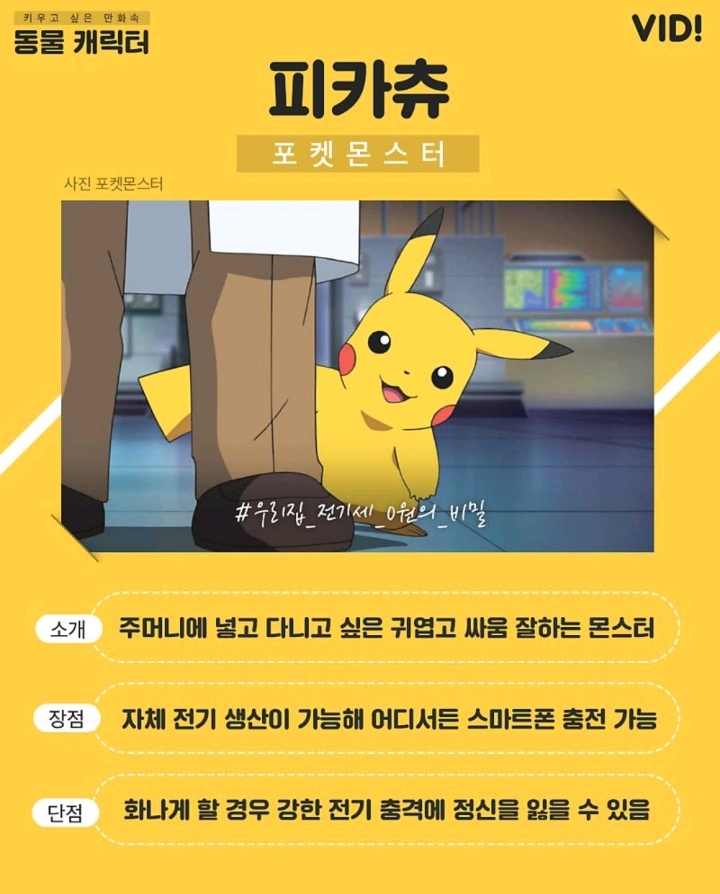 키워보고 싶은 만화 속 동물 캐릭터는? | 인스티즈