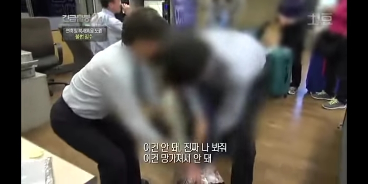공항 세관 단속에 걸린 사람들.jpg | 인스티즈