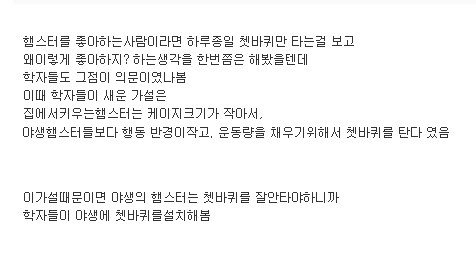 햄스터가 쳇바퀴를 타는 이유 | 인스티즈