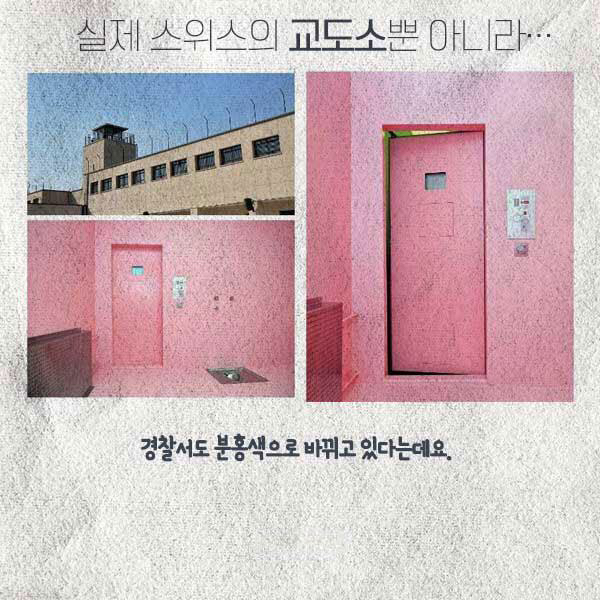부끄러워서 죄짓고 싶지 않다는 스위스 핑크 교도소 | 인스티즈