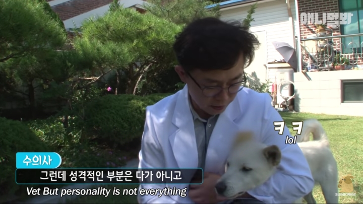 그알 갈색푸들보다 친화력 오지는 뻔순이 | 인스티즈