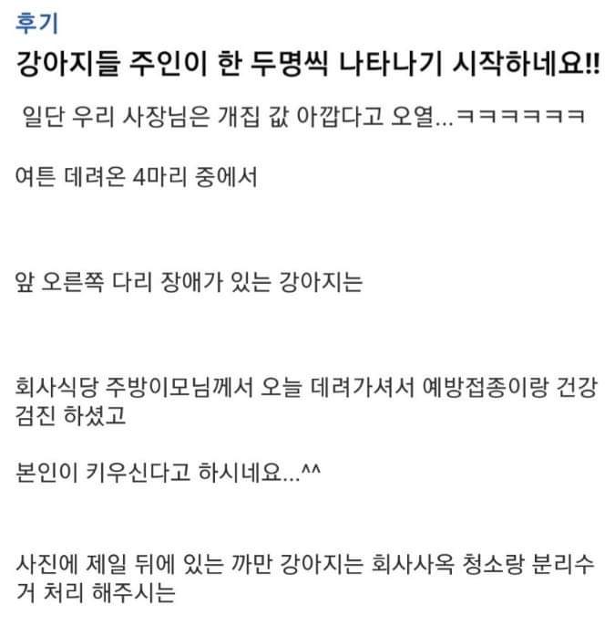 버려진 강아지들 잡아옴.jpg | 인스티즈