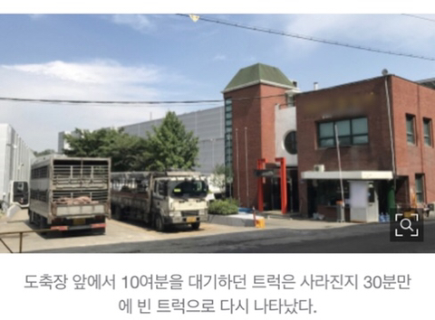 육식주의 축산 이미지