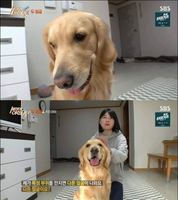 [세상에이런일이] 두 얼굴을 가진 아이 | 인스티즈