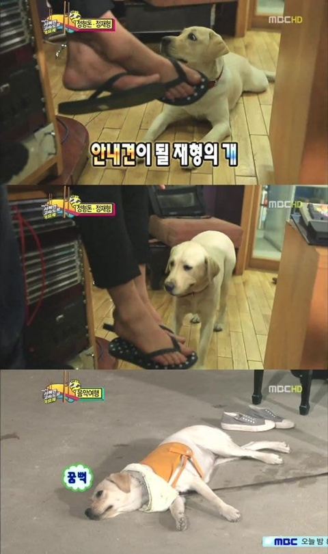 2e4cfc4b2f0611515f0570198f66cf8804f5ca17