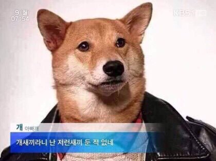 다 이미지