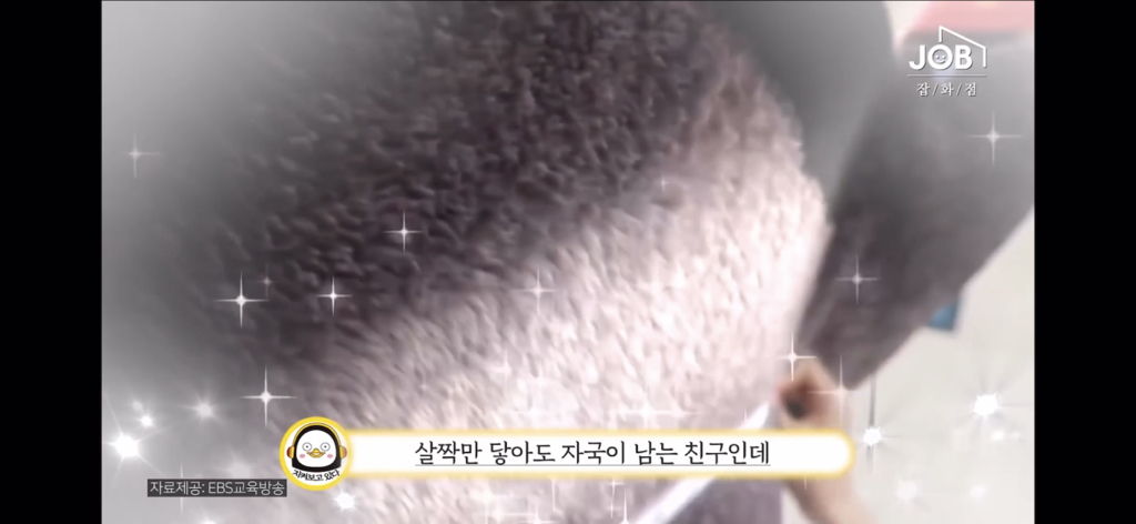 구매현피 박째영이 말하는 펭수가 EBS 오디션을 보기까지 (feat.미친 세계관) | 인스티즈