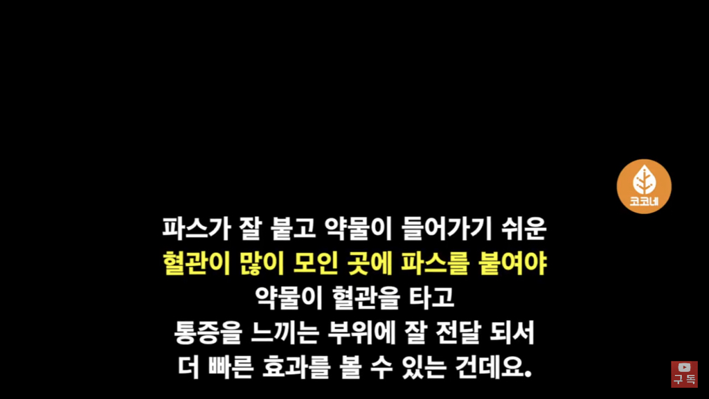 파스 이미지
