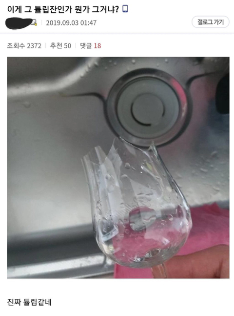 진갤러리 이미지