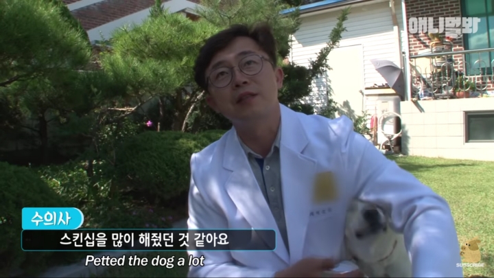 그알 갈색푸들보다 친화력 오지는 뻔순이 | 인스티즈