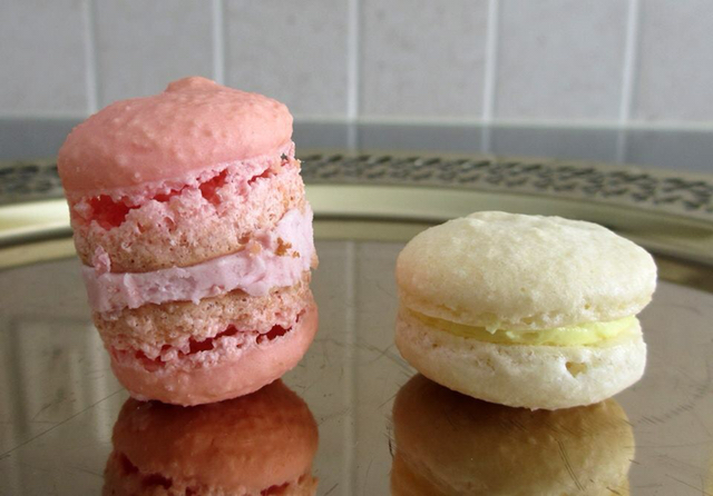 망한 마카롱 대회 | 인스티즈