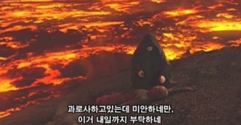 해라 이미지