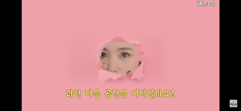 하쿠나마타타 이미지
