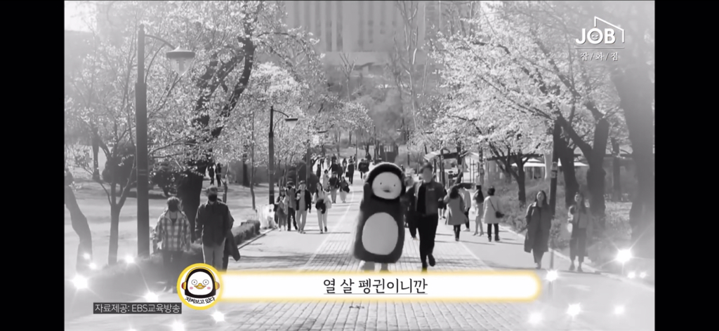 구매현피 박째영이 말하는 펭수가 EBS 오디션을 보기까지 (feat.미친 세계관) | 인스티즈