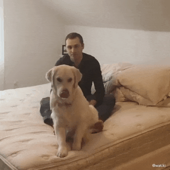 댕댕이는 다커서도 애기야.gif | 인스티즈