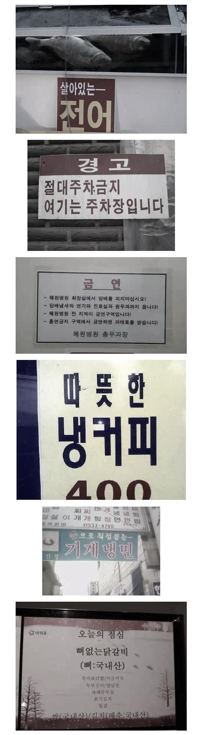 개조심! 이름은 블랙이 | 인스티즈