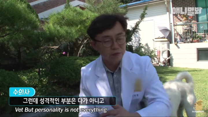 그알 갈색푸들보다 친화력 오지는 뻔순이 | 인스티즈