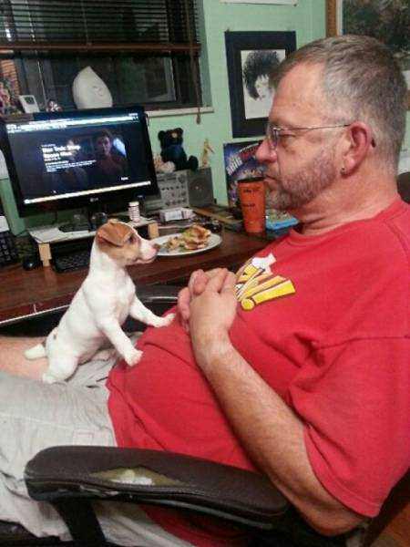 갱얼쓰와 반려인의 첫만남을 남긴 사진들 | 인스티즈