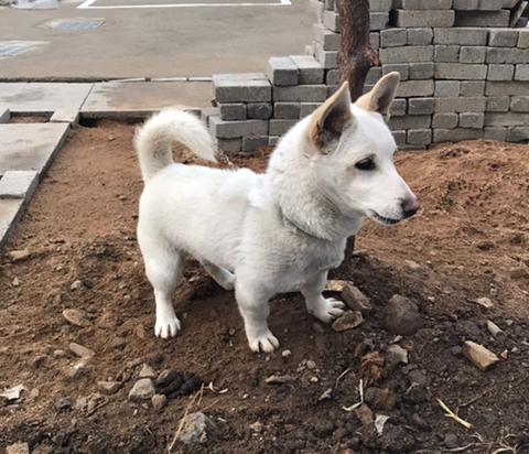 아가씨는 모르시겠죠.. | 인스티즈