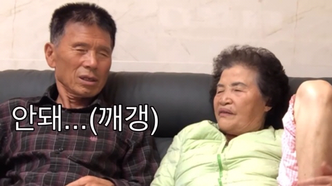 할머니,할아버지께 강아지 키우고 싶다고 해봤더니... | 인스티즈