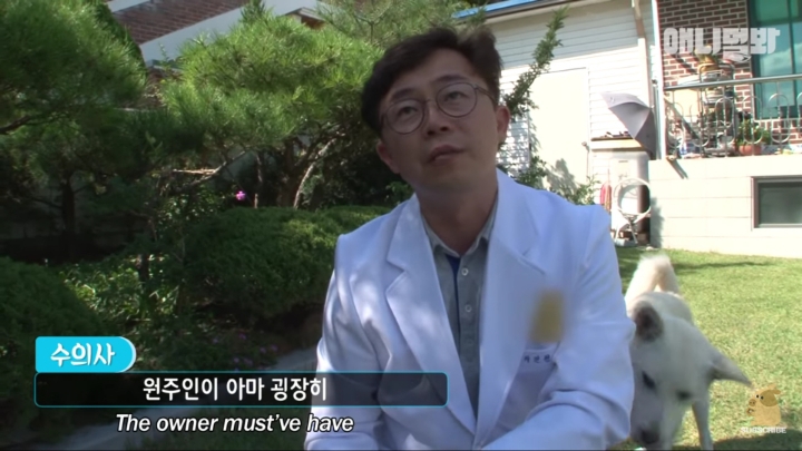 그알 갈색푸들보다 친화력 오지는 뻔순이 | 인스티즈