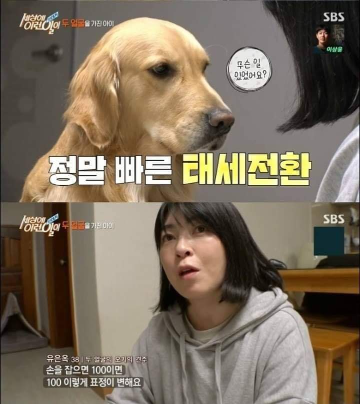 [세상에이런일이] 두 얼굴을 가진 아이 | 인스티즈