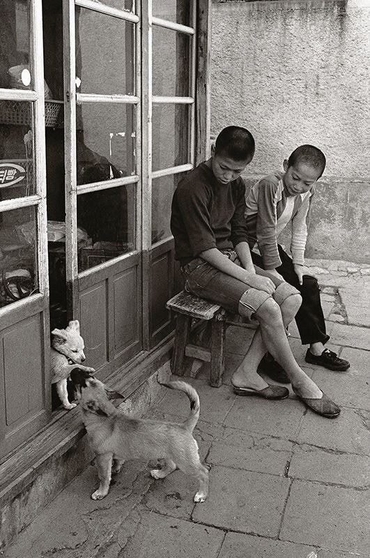 48a471f72fbb47ca0ecd078a33781a7338f5a7db