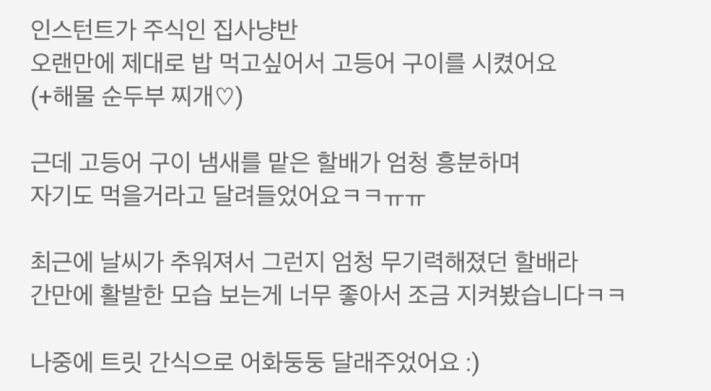 생선 구이가 먹고싶었던 늙은 고양이 할배어르신 | 인스티즈