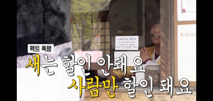 펭수가 한국민속촌에 가면 입장료는 얼마를 내야할까? | 인스티즈