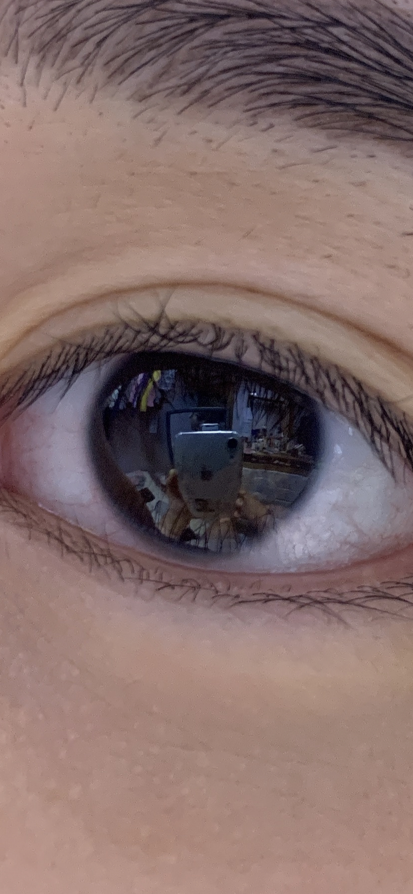 쓰는 사람이 많은데도 이정도인지 모르는 아이폰 화질.jpg (눈사진 주의) | 인스티즈