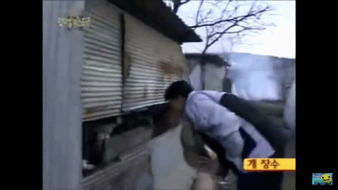 개장수만 보면 본능적으로 똥오줌 지리는 개들 | 인스티즈