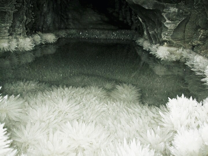 4e47a0221fe4cd4fbc08d07bc3d38f34080bd8eb