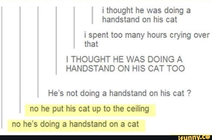 세계에서 제일 강한 힘을 가진 놀라운 고양이 | 인스티즈