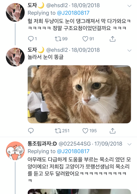 화장실에 간 집사를 구하기 위해 용맹하게 울부짖는 고영 | 인스티즈