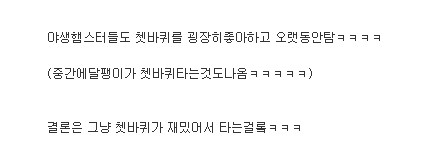 햄스터가 쳇바퀴를 타는 이유 | 인스티즈